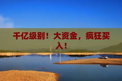 千亿级别！大资金，疯狂买入！  第1张