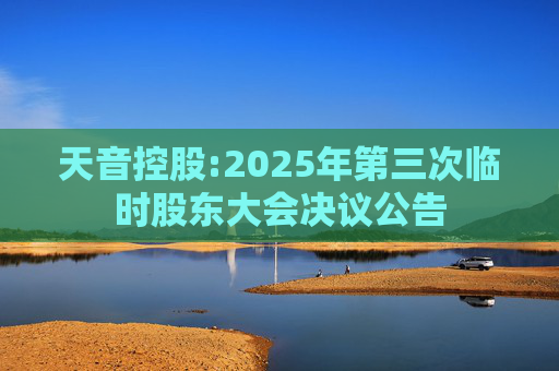 天音控股:2025年第三次临时股东大会决议公告