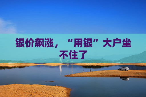 银价飙涨，“用银”大户坐不住了