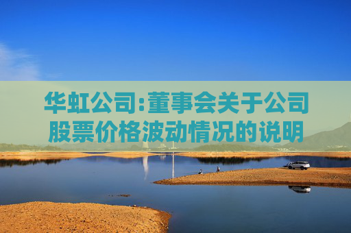 华虹公司:董事会关于公司股票价格波动情况的说明