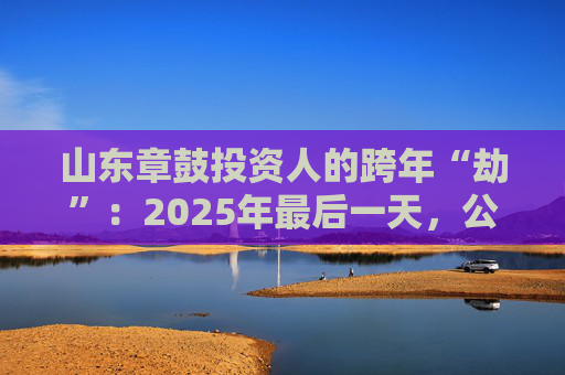 山东章鼓投资人的跨年“劫”：2025年最后一天，公司披露被中国证监会立案调查