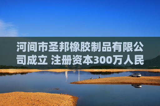 河间市圣邦橡胶制品有限公司成立 注册资本300万人民币  第1张