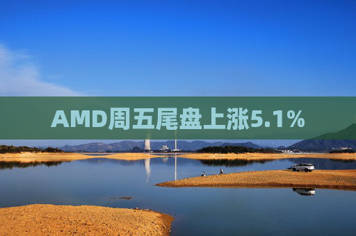 AMD周五尾盘上涨5.1%  第1张