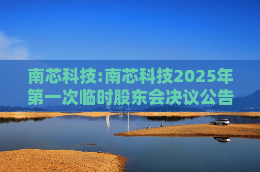 南芯科技:南芯科技2025年第一次临时股东会决议公告