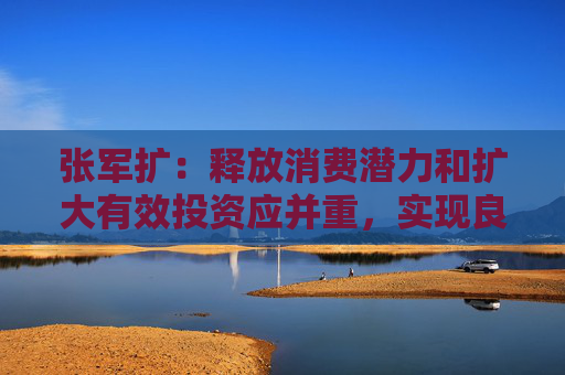 张军扩：释放消费潜力和扩大有效投资应并重，实现良性互动  第1张