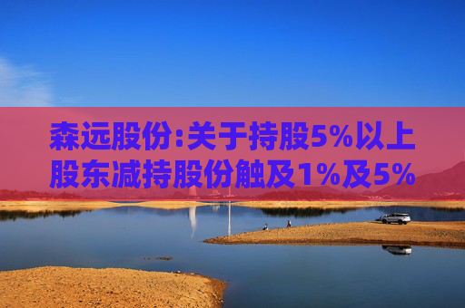 森远股份:关于持股5%以上股东减持股份触及1%及5%整数倍暨披露简式权益变动报告书的提示性公告