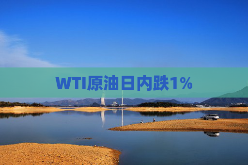 WTI原油日内跌1%