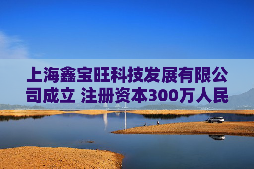 上海鑫宝旺科技发展有限公司成立 注册资本300万人民币