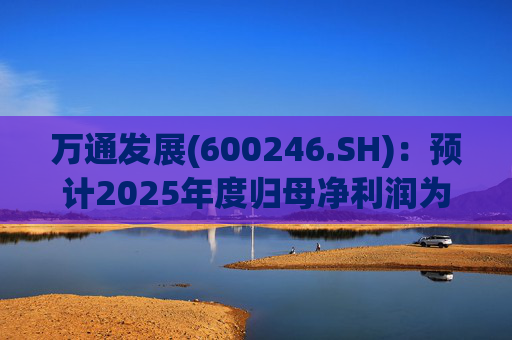 万通发展(600246.SH)：预计2025年度归母净利润为负值