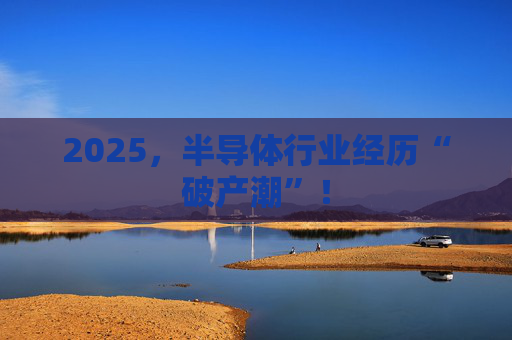 2025，半导体行业经历“破产潮”！