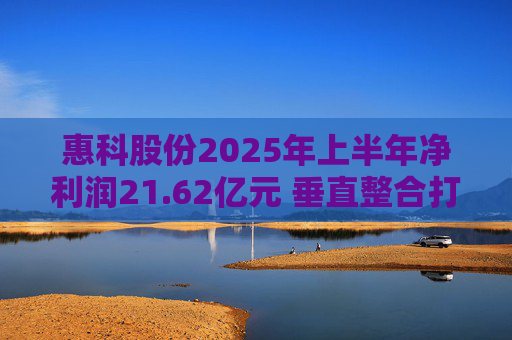 惠科股份2025年上半年净利润21.62亿元 垂直整合打造显示产业全链条优势