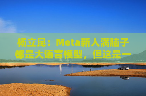 杨立昆：Meta新人满脑子都是大语言模型，但这是一条死胡同  第1张