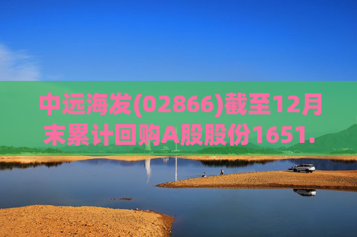 中远海发(02866)截至12月末累计回购A股股份1651.63万股
