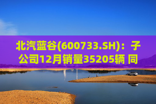 北汽蓝谷(600733.SH)：子公司12月销量35205辆 同比增长114.56%  第1张