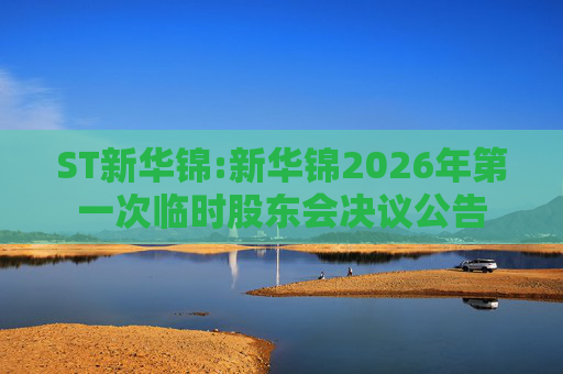 ST新华锦:新华锦2026年第一次临时股东会决议公告  第1张
