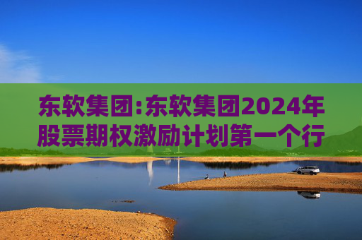东软集团:东软集团2024年股票期权激励计划第一个行权期2025年第四季度自主行权结果暨股份变动的公告