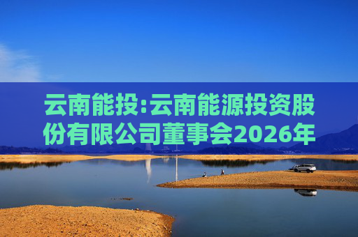 云南能投:云南能源投资股份有限公司董事会2026年第一次临时会议决议公告
