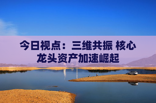 今日视点：三维共振 核心龙头资产加速崛起
