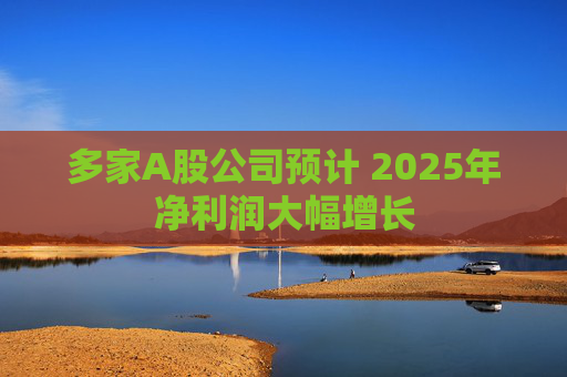 多家A股公司预计 2025年净利润大幅增长 第1张 多家A股公司预计 2025年净利润大幅增长 第1张