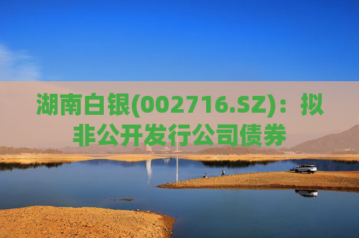 湖南白银(002716.SZ)：拟非公开发行公司债券  第1张