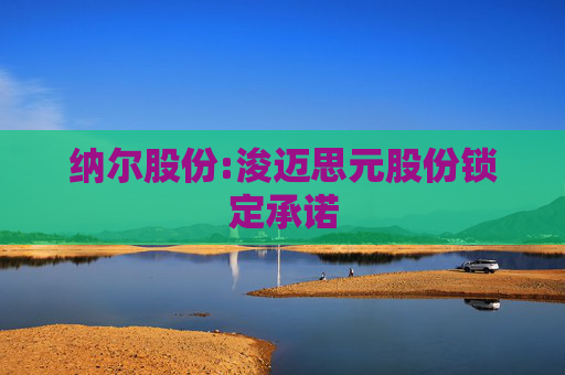 纳尔股份:浚迈思元股份锁定承诺