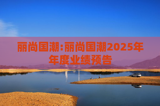 丽尚国潮:丽尚国潮2025年年度业绩预告