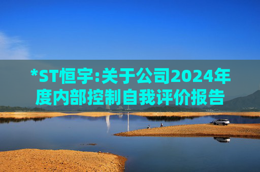 *ST恒宇:关于公司2024年度内部控制自我评价报告