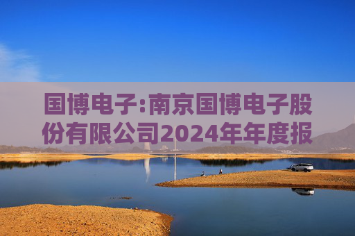 国博电子:南京国博电子股份有限公司2024年年度报告  第1张
