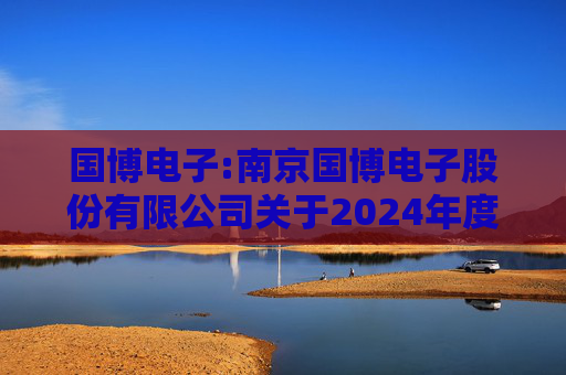 国博电子:南京国博电子股份有限公司关于2024年度募集资金存放与使用情况的专项报告  第1张