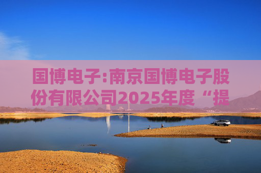 国博电子:南京国博电子股份有限公司2025年度“提质增效重回报”行动方案