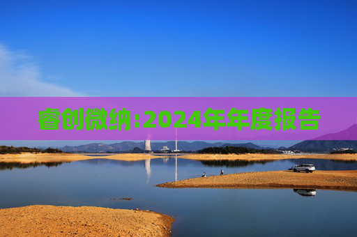 睿创微纳:2024年年度报告  第1张