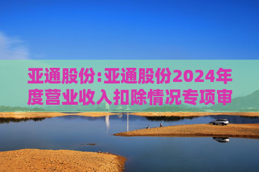亚通股份:亚通股份2024年度营业收入扣除情况专项审核意见