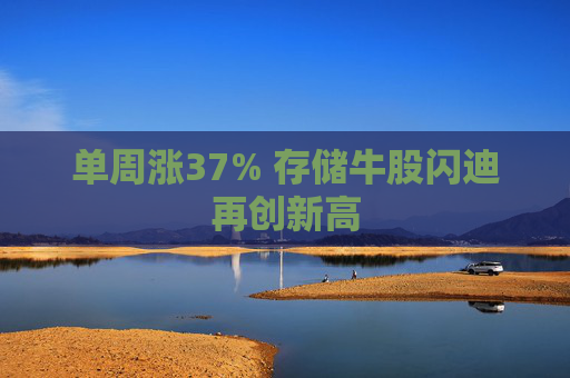 单周涨37% 存储牛股闪迪再创新高