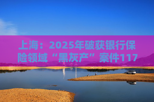 上海：2025年破获银行保险领域“黑灰产”案件117起 持续净化金融生态