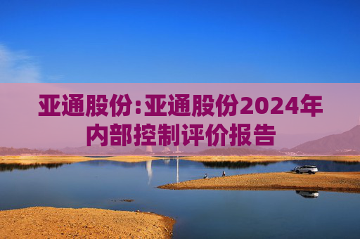 亚通股份:亚通股份2024年内部控制评价报告  第1张