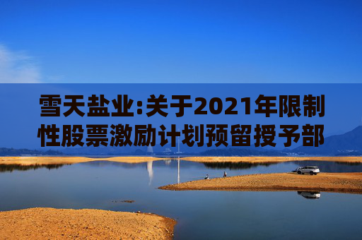 雪天盐业:关于2021年限制性股票激励计划预留授予部分限制性股票第三个解除限售期解除限售暨上市流通的提示性公告  第1张