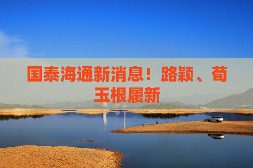 国泰海通新消息！路颖、荀玉根履新  第1张