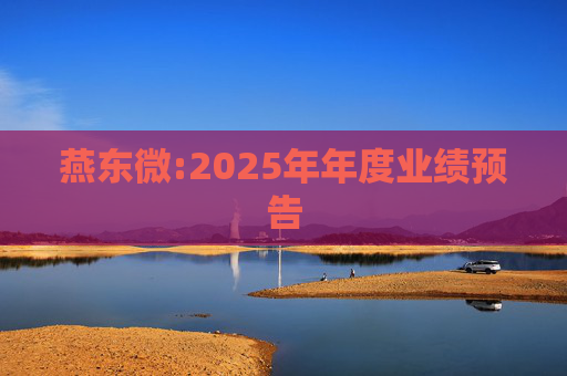 燕东微:2025年年度业绩预告