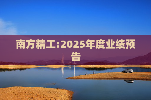 南方精工:2025年度业绩预告