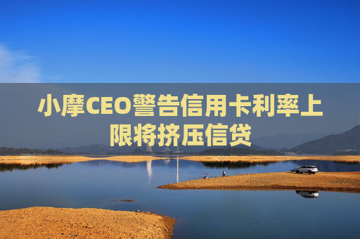 小摩CEO警告信用卡利率上限将挤压信贷