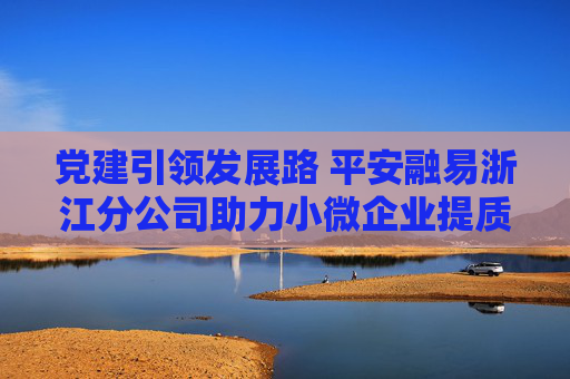 党建引领发展路 平安融易浙江分公司助力小微企业提质增效