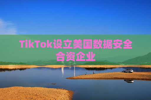 TikTok设立美国数据安全合资企业