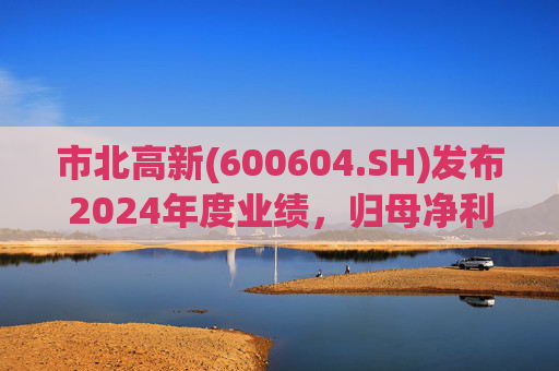 市北高新(600604.SH)发布2024年度业绩，归母净利润3053万元，同比扭亏为盈  第1张