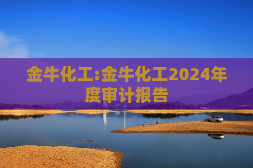 金牛化工:金牛化工2024年度审计报告