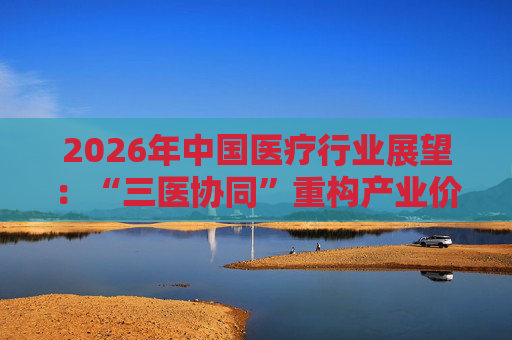 2026年中国医疗行业展望：“三医协同”重构产业价值链