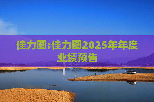 佳力图:佳力图2025年年度业绩预告