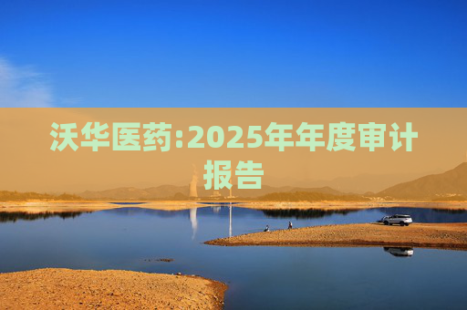 沃华医药:2025年年度审计报告