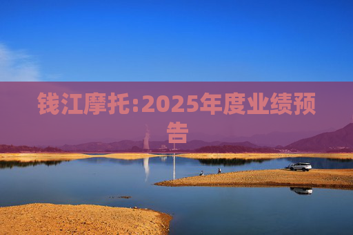 钱江摩托:2025年度业绩预告