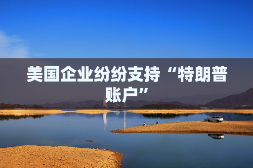 美国企业纷纷支持“特朗普账户”  第1张