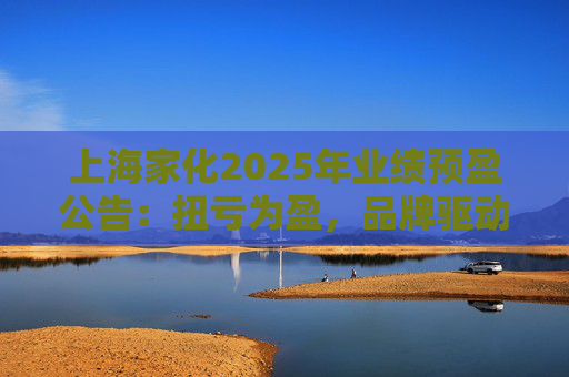 上海家化2025年业绩预盈公告：扭亏为盈，品牌驱动重回增长轨道  第1张